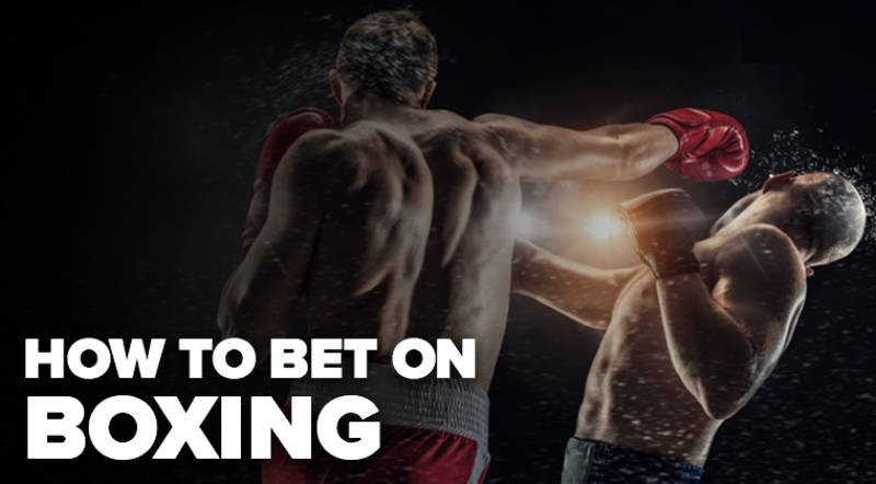 Kinh Nghiệm Chơi Cá Cược Boxing Từ Người Trong Nghề